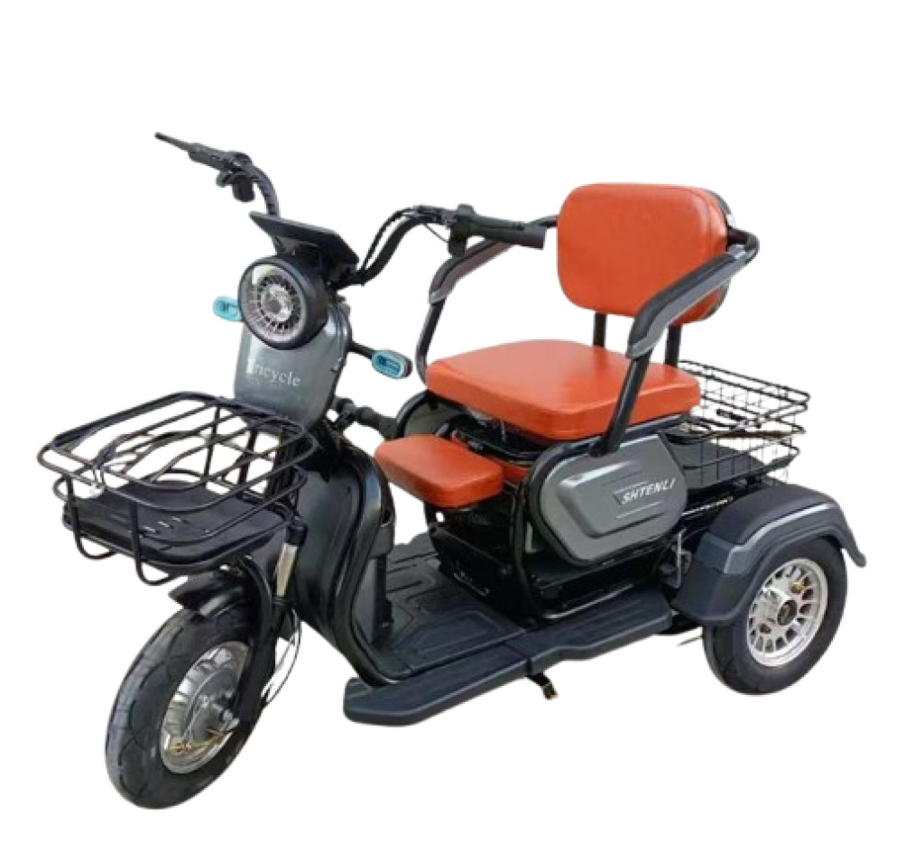Трицикл Shtenli model 31 48V20A