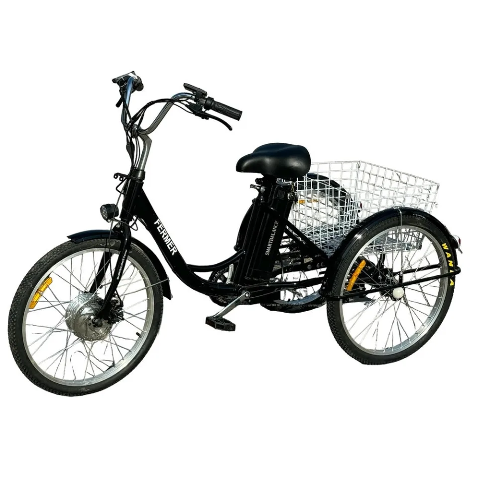 Электровелосипед трехколесный Smart Balans Fermer 15Ah - SMD в Беларуси